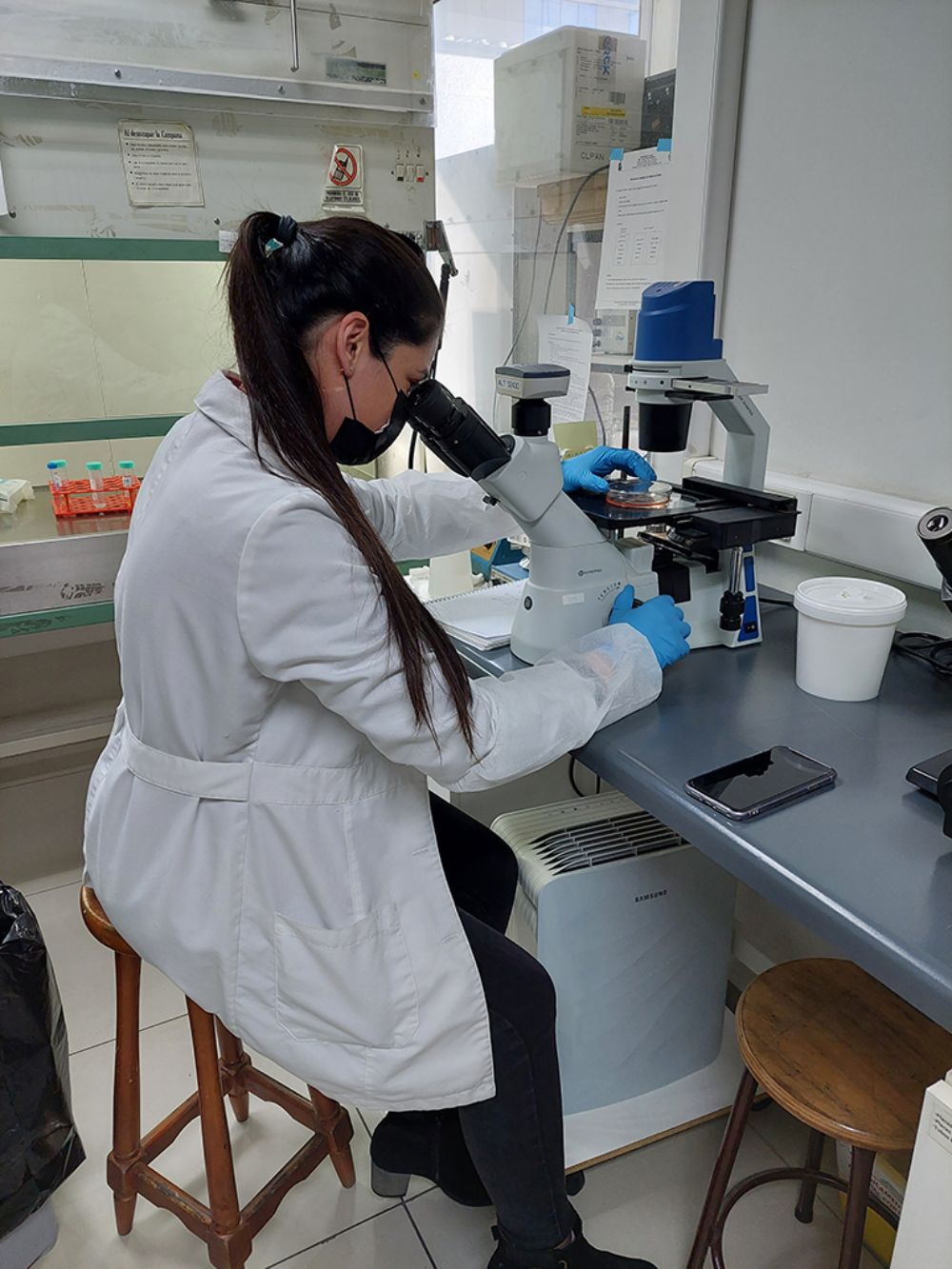 El trabajo fue realizado por el Centro de Estudios sobre Ejercicio, Metabolismo y Cáncer (CEMC) y el INTA de la Universidad de Chile